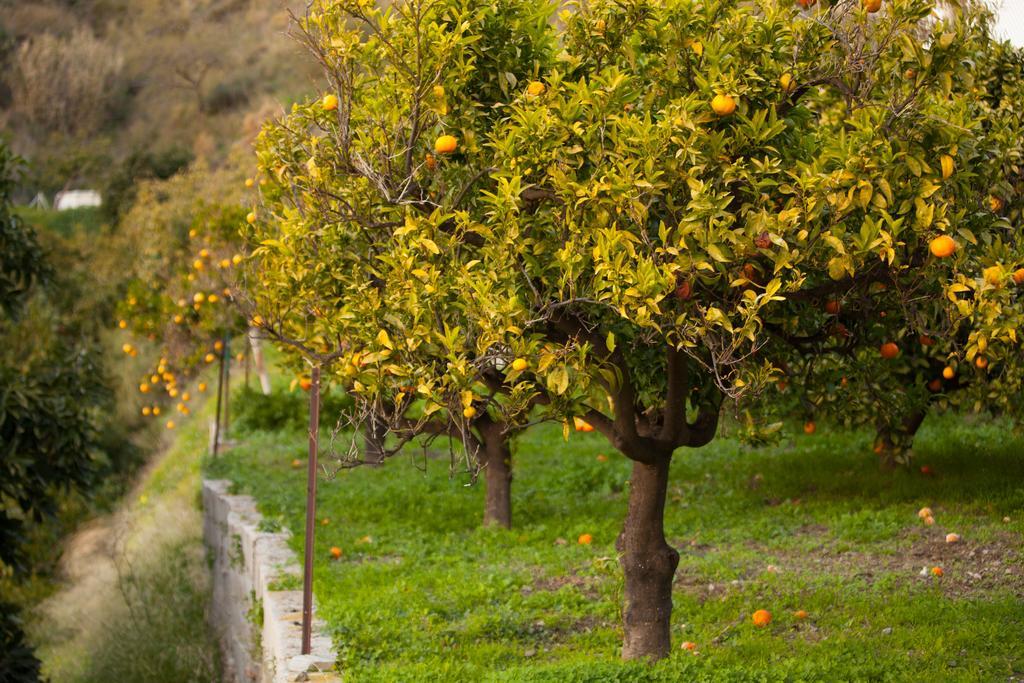 Finca La Herradura 部屋 写真